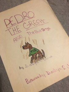 20170919_225524589_iOS