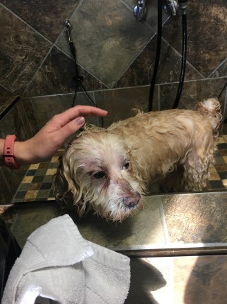 20171007_152333095_iOS