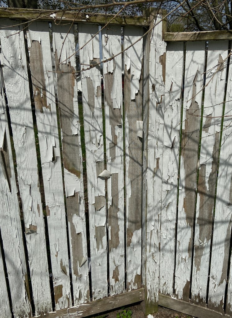 peeling fence
