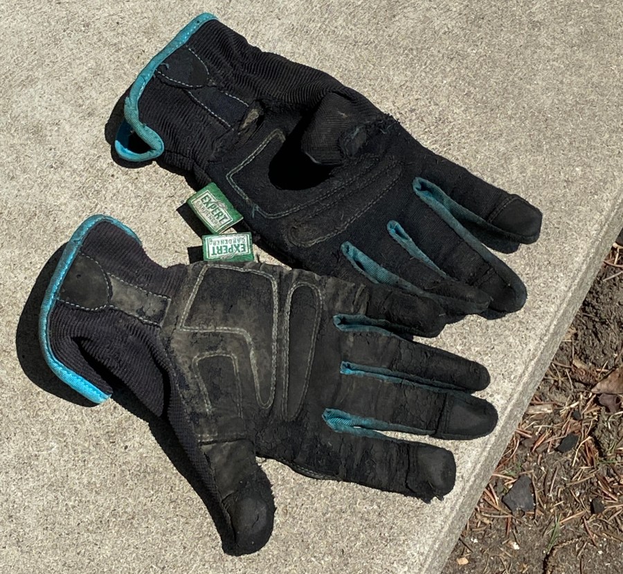 worn garden gloves
